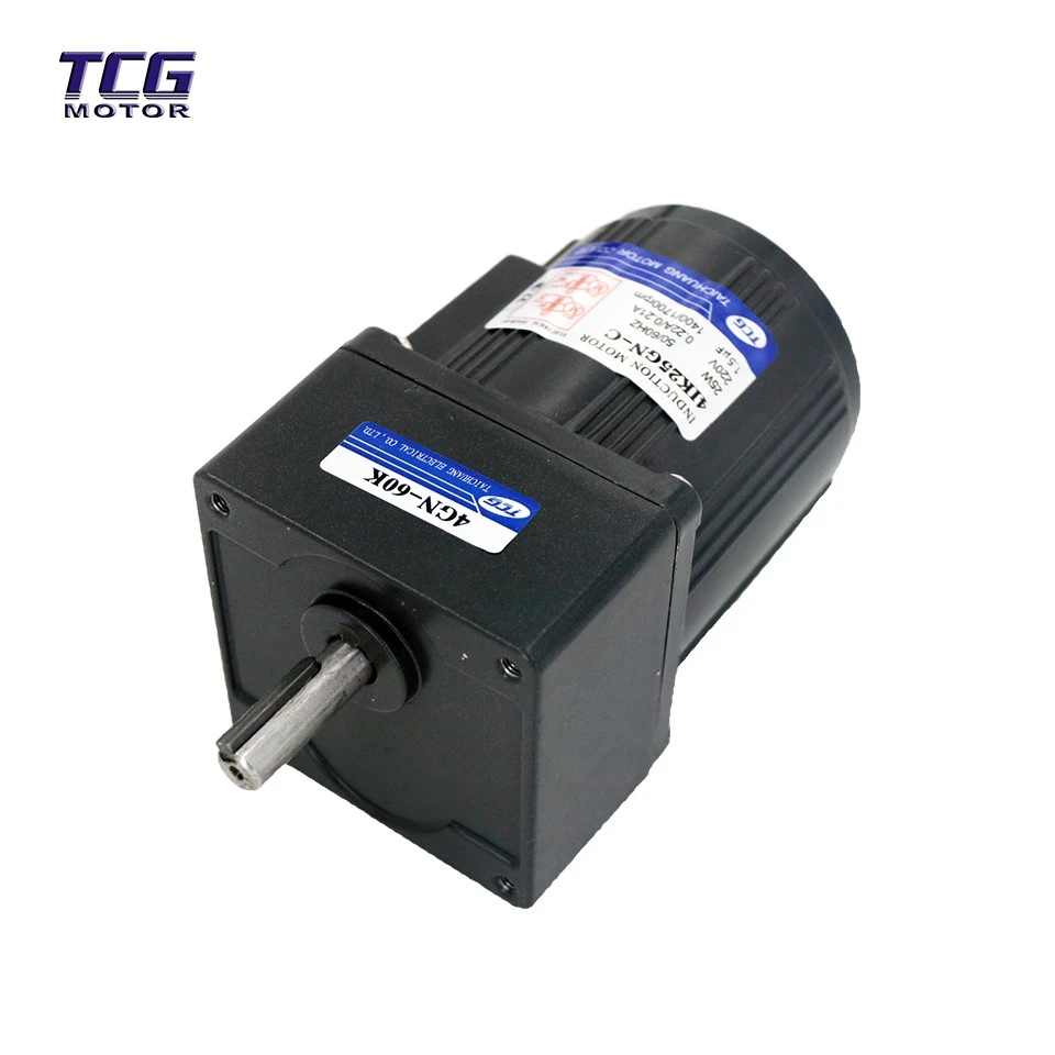 110V AC Gear Motor factory