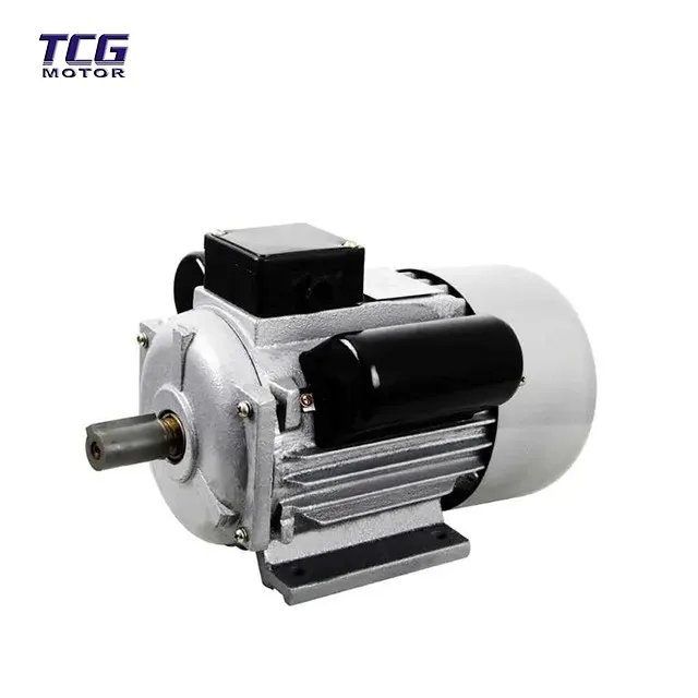 dual capacitor motor