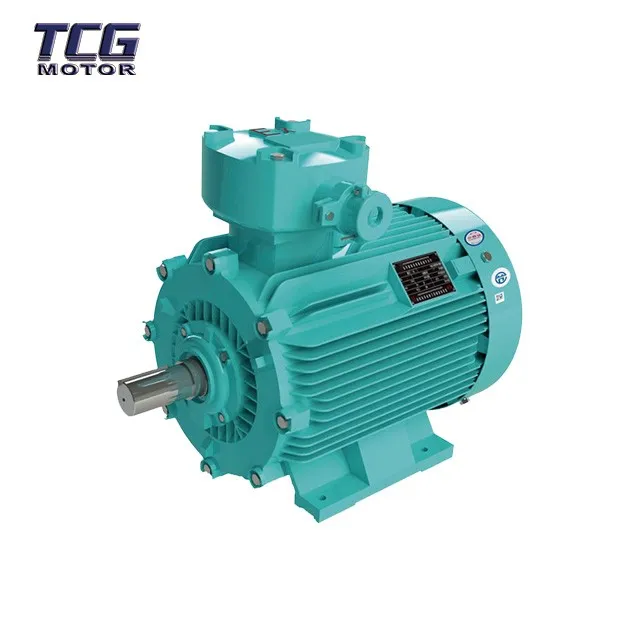 37KW Explosion proof motor